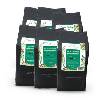 Café Le Gourmet 100 % Arabica, équilibré et aromatique, sachet Cafés Taine