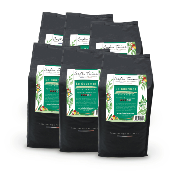 Café Le Gourmet 100 % Arabica, équilibré et aromatique, sachet Cafés Taine